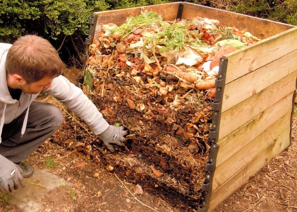 Органические удобрения: как создать собственные домашние компосты