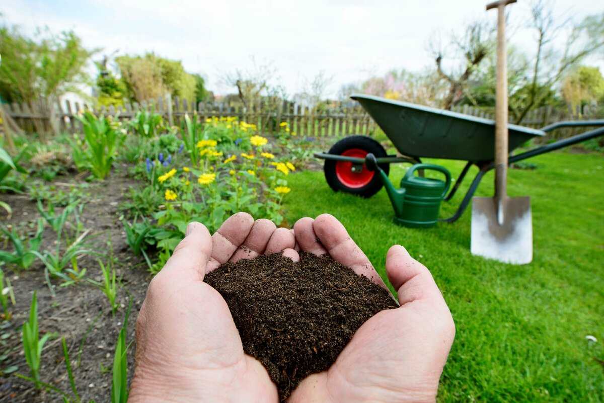 Органические подкормки: как использовать природные ресурсы для улучшения почвы