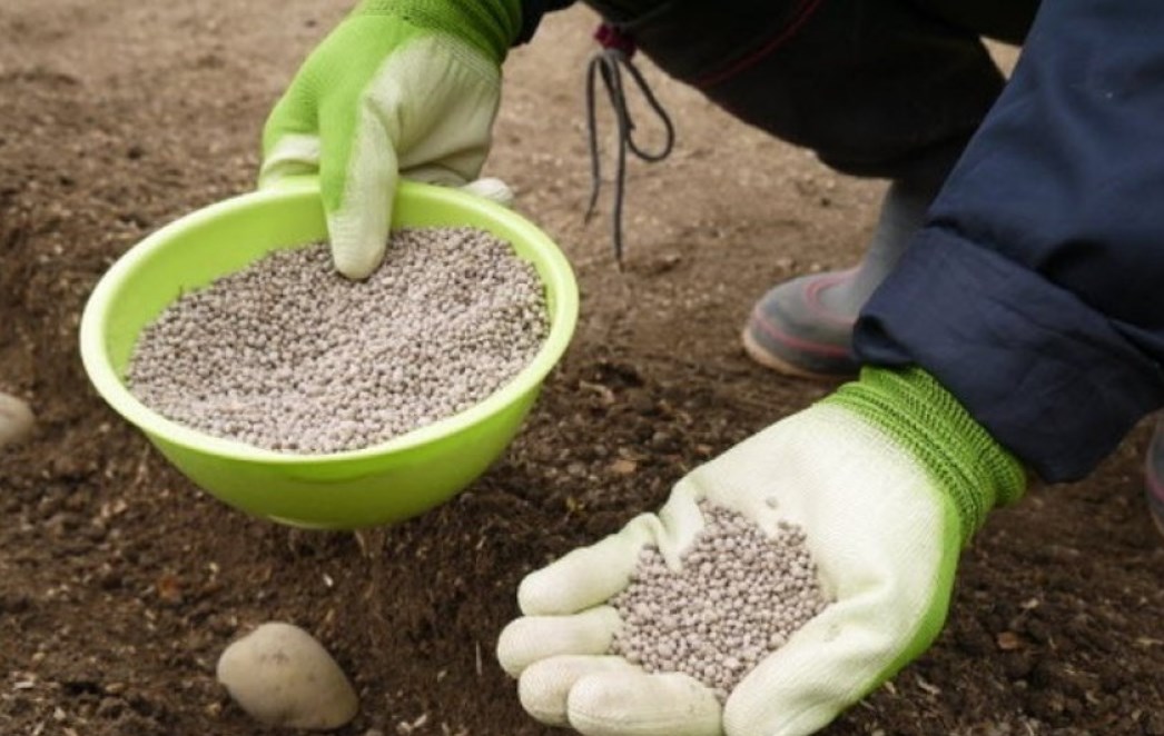 Минеральные удобрения: как подобрать оптимальный состав для почвы