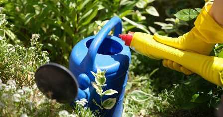 Какие удобрения использовать для овощных растений: советы садоводов