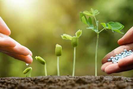 Подготовка почвы для сада: важность использования правильных удобрений