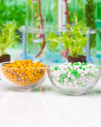 Удобрения для овощных растений: выбор и применение
