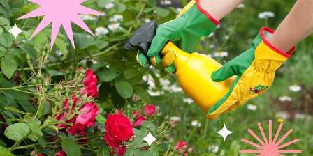 Удобрения для садовых цветов: как создать красочный сад.