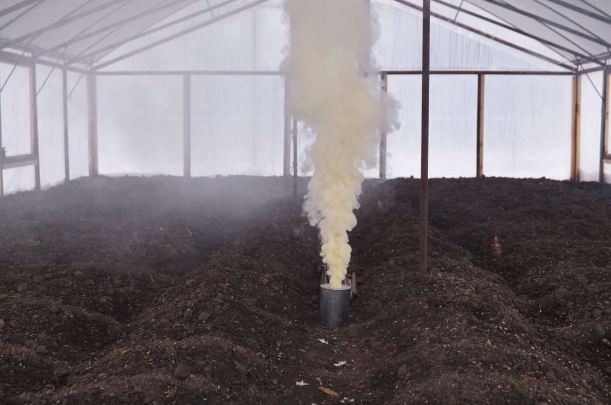 Процесс обработки почвы в теплице: плодородие, дезинфекция и предупреждение болезней