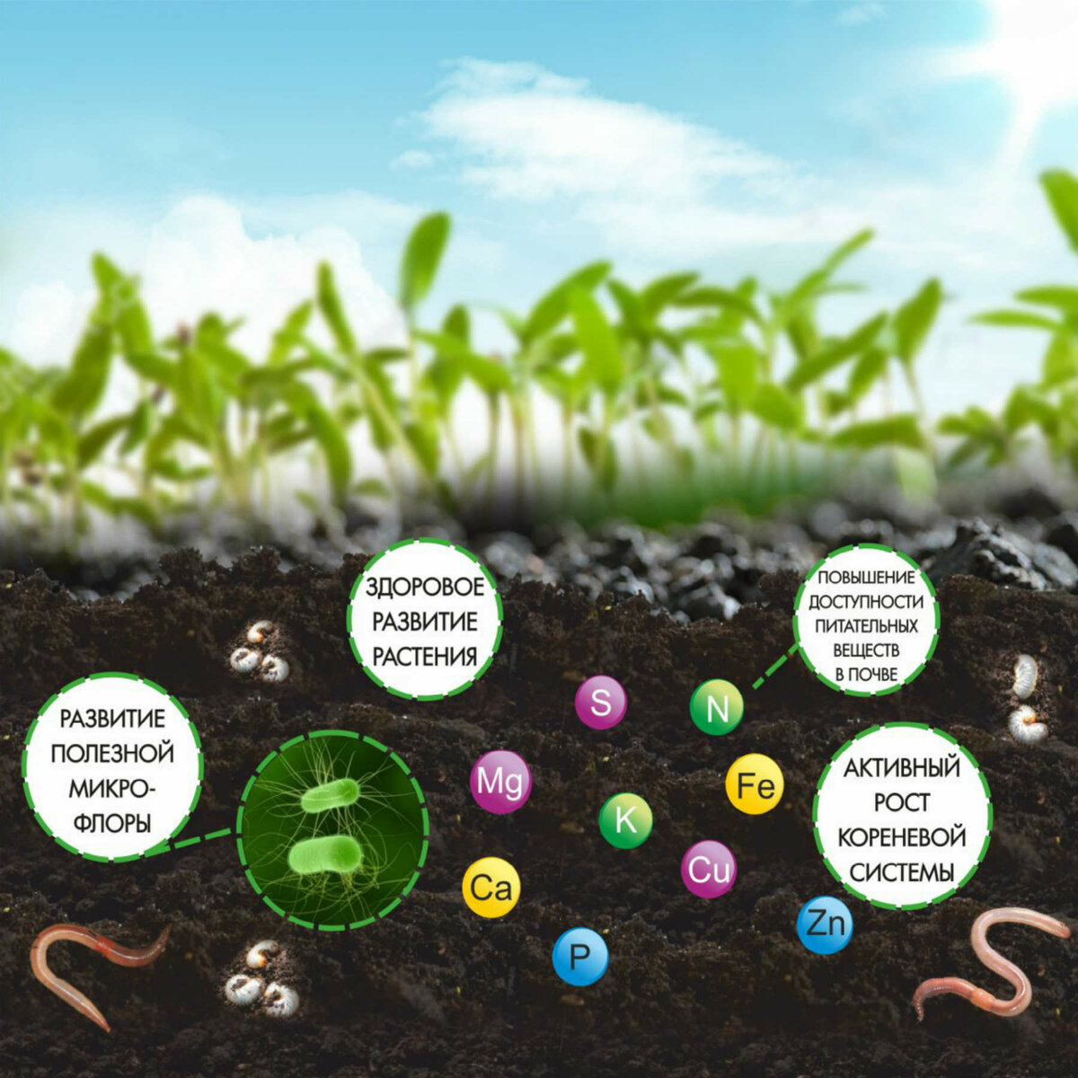 Роль органических удобрений в улучшении почвы для культурных растений