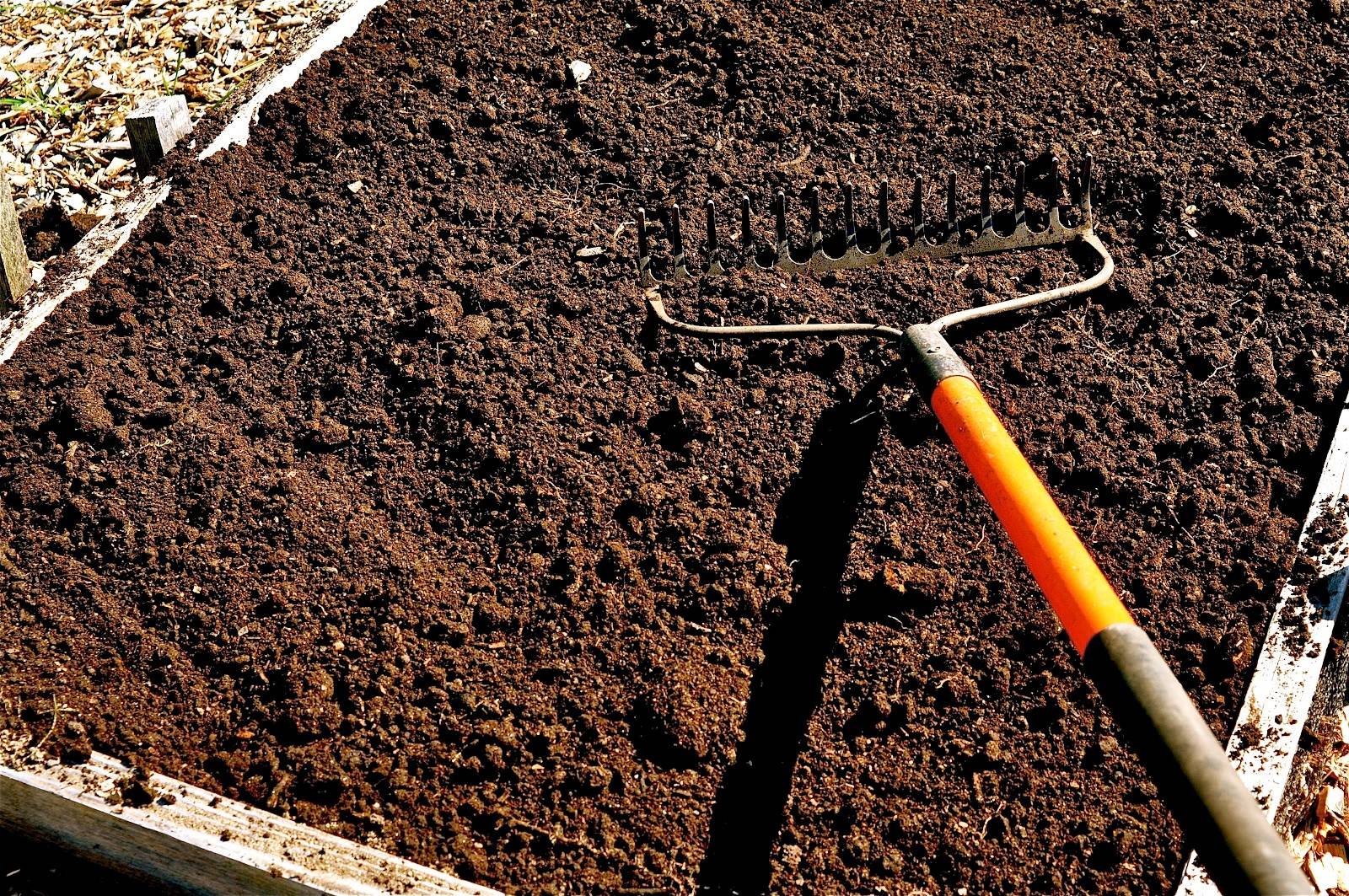 Особенности и подготовка почвы для выращивания картофеля