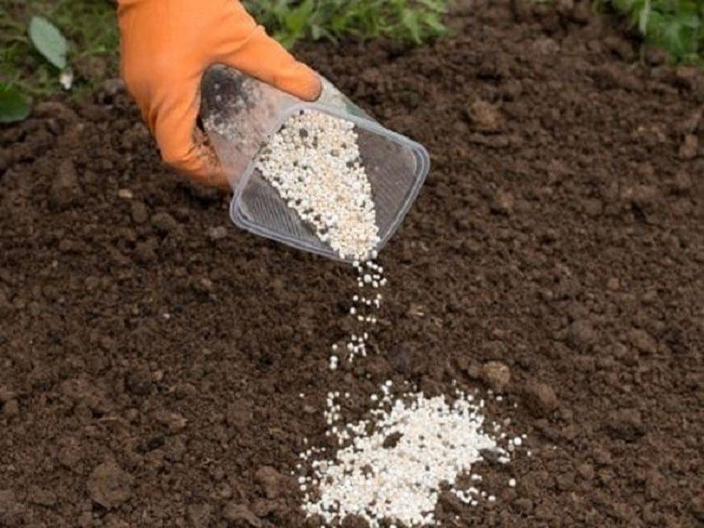 Удобрение для каменистых почв: как обогатить питательными веществами