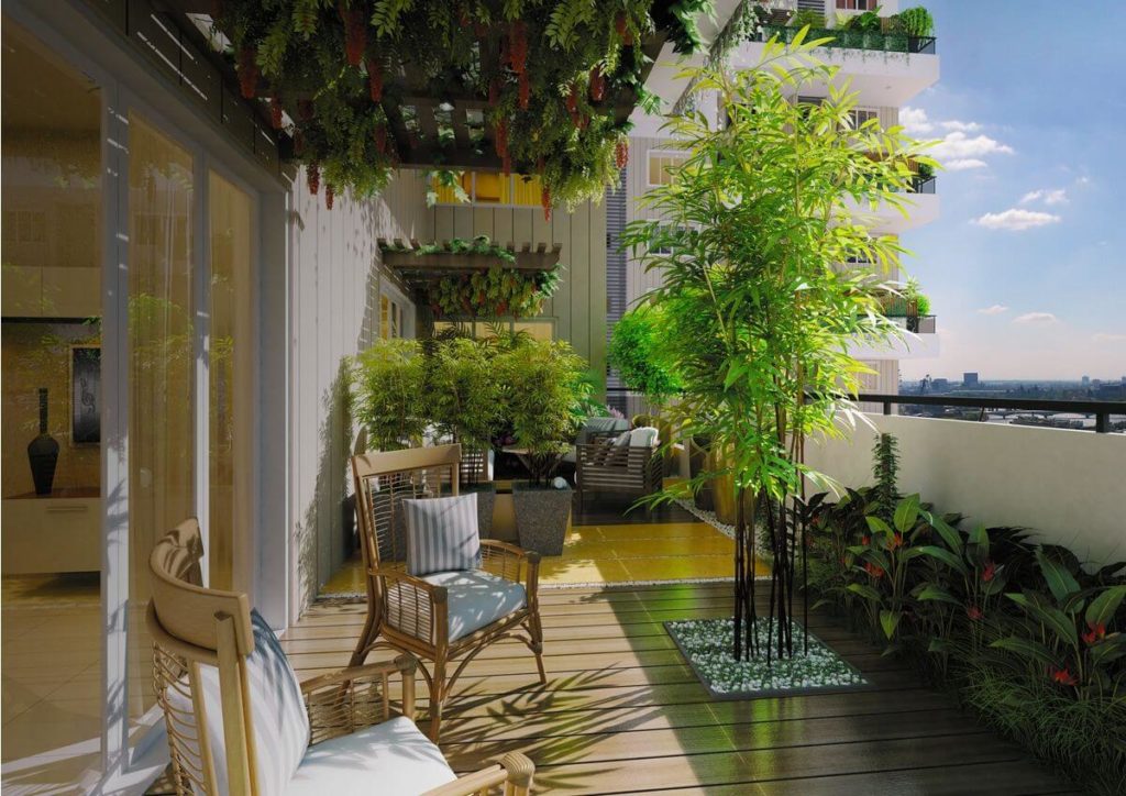 Удобрение для декоративных деревьев на балконе: оазис зелени в городе