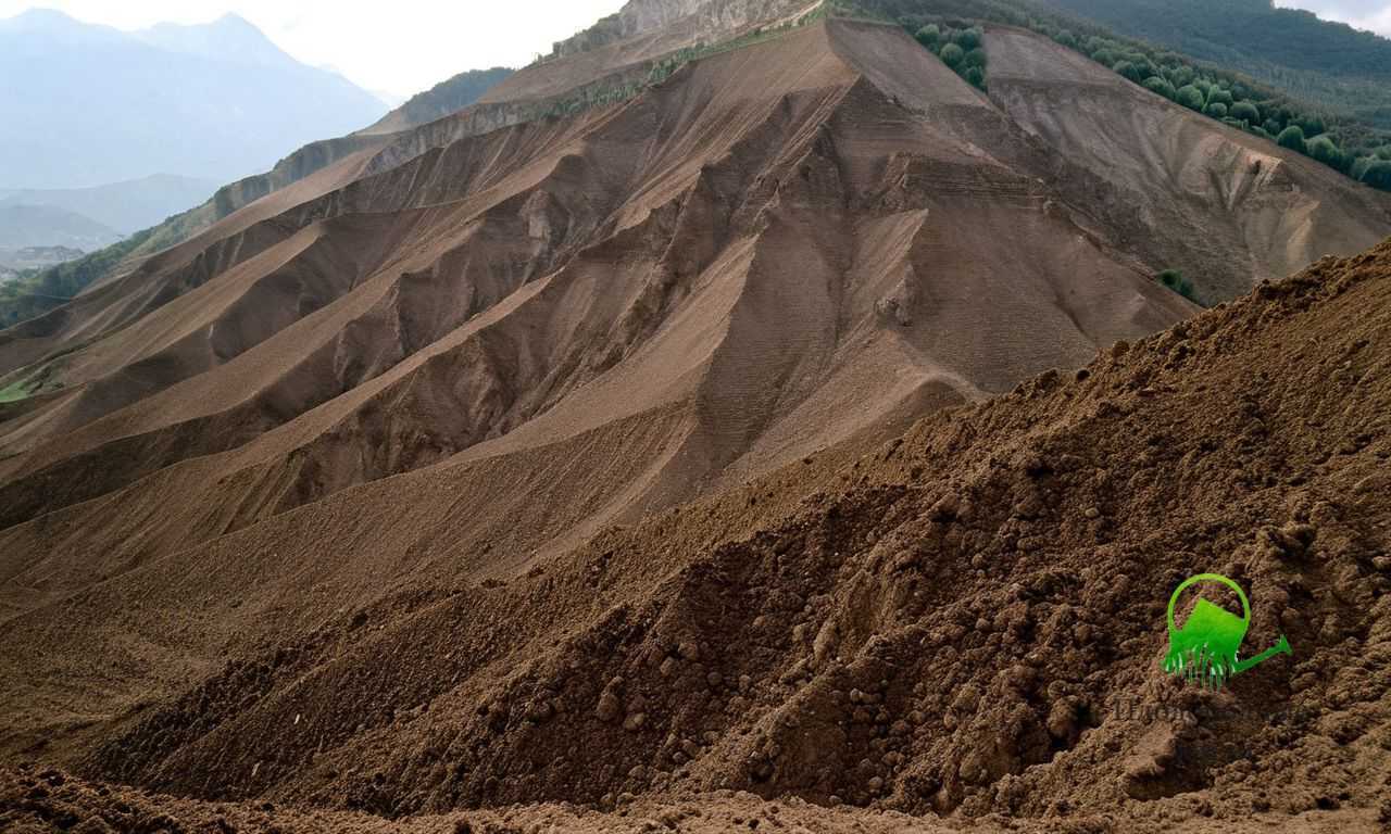 Идеальный состав грунта для выращивания насыщенной листовой зелени