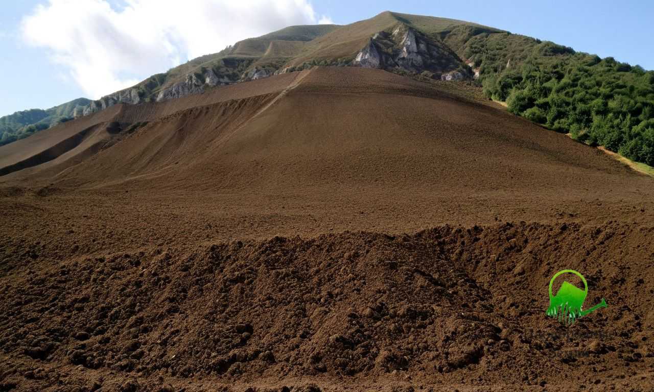 Как подобрать оптимальный состав грунта для каллистемона для эффективного роста