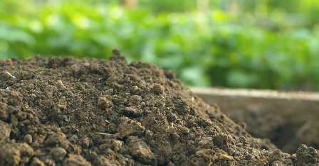 Что нужно знать о почве для сада.