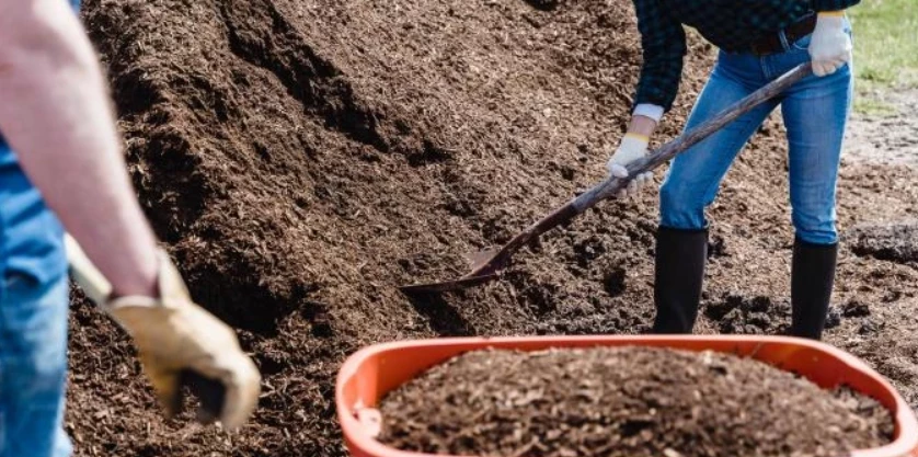 Как подготовить почву для сада: важные этапы и советы экспертов.