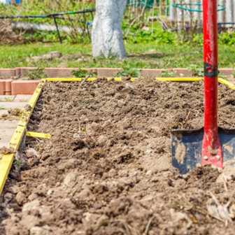 Как подготовить почву для создания здорового и плодородного сада?