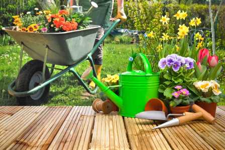 Как выбрать правильные удобрения для садовых цветов и создать красивую клумбу