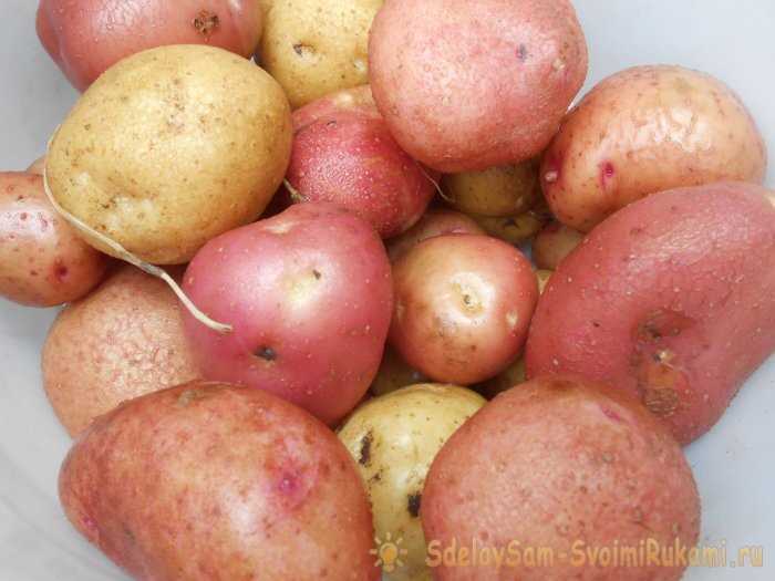 Какие удобрения использовать для картофеля с высокой урожайностью