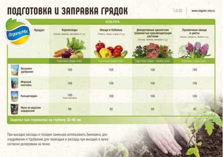 Какие удобрения необходимы овощным растениям?