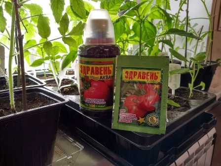 Какие удобрения способствуют росту и развитию помидоров