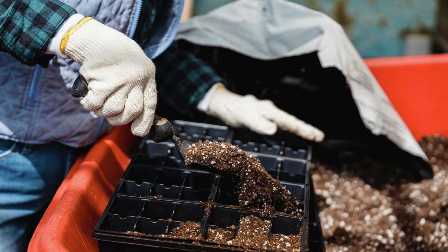 Оптимальная почва для сада: какие удобрения использовать и как ее подготовить