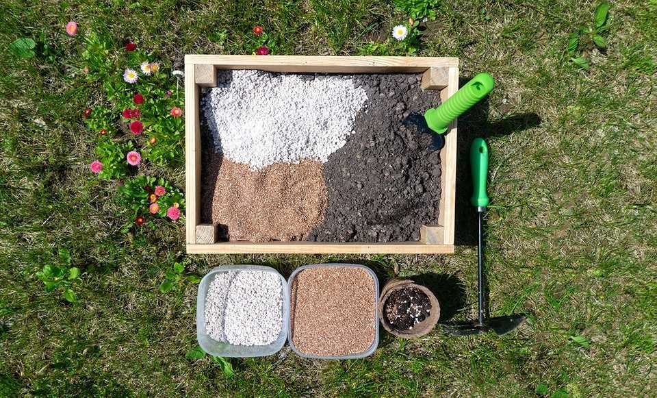 Оптимальная почва для сада: советы профессионалов