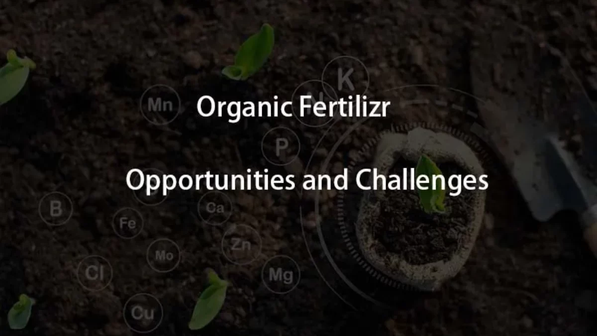 Органические удобрения для почвы: преимущества и недостатки.