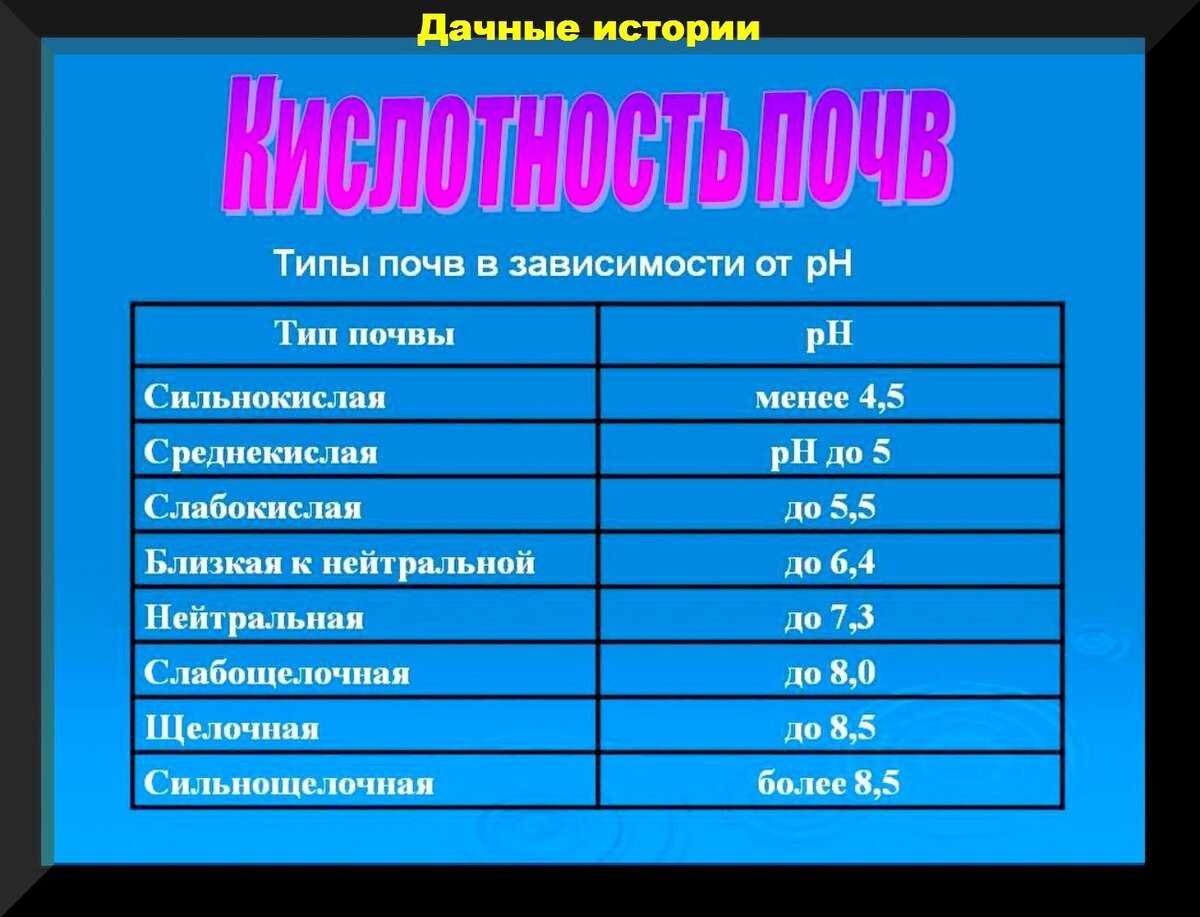 Особенности почвы для овощных растений: что нужно знать