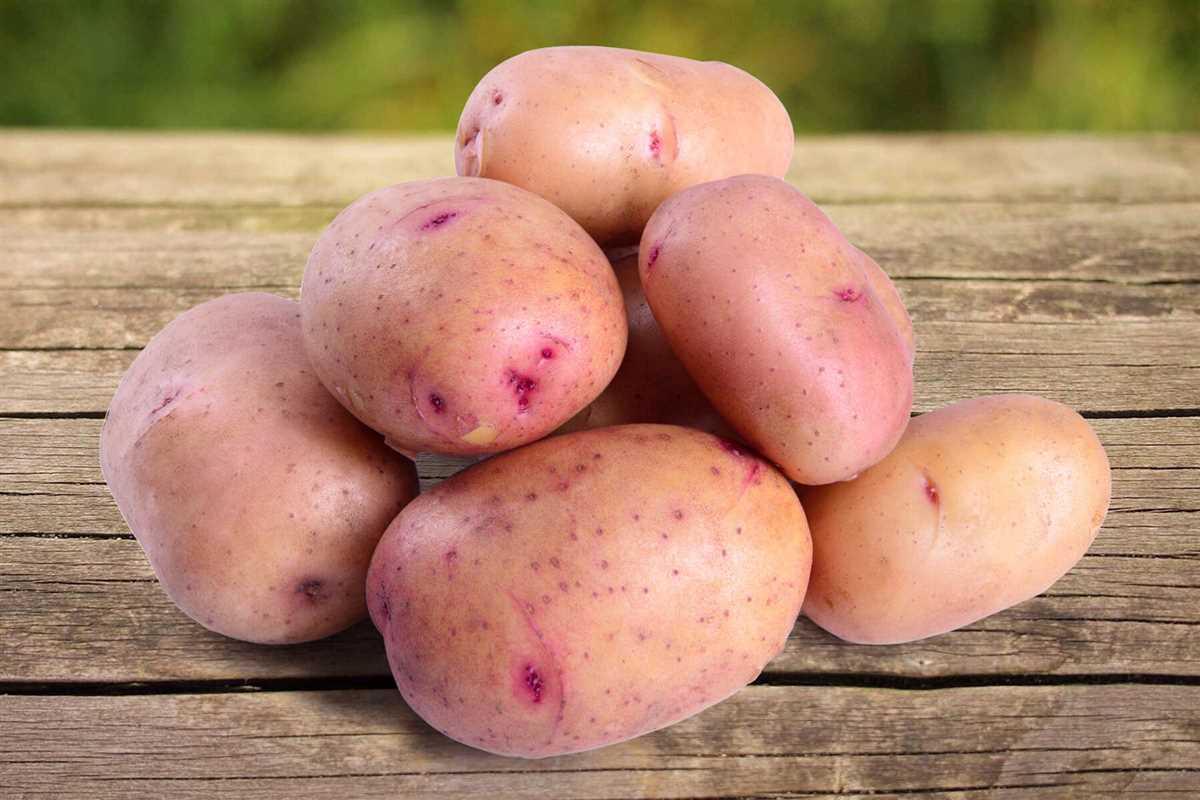 Правила удобрения картошки для получения крупных и вкусных клубней