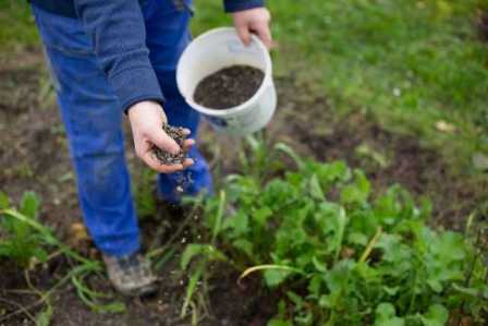 Применение органических удобрений для улучшения почвы.