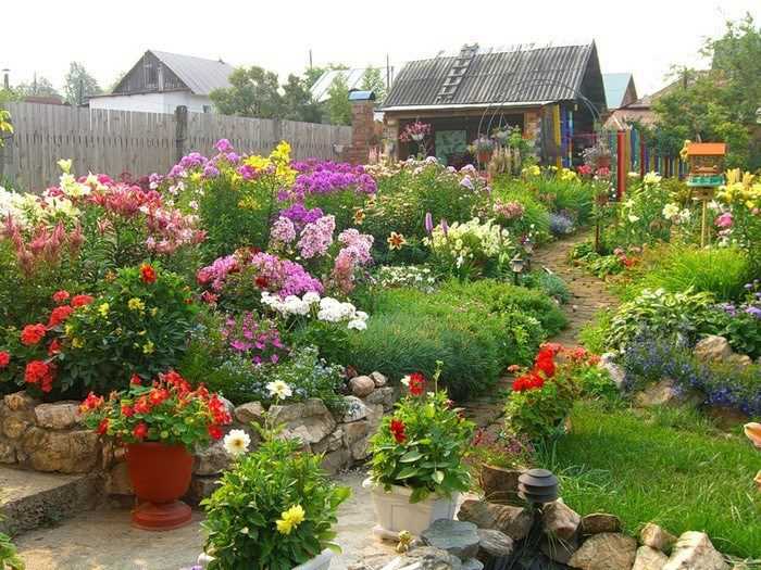 Привлекательные садовые цветы благодаря правильным удобрениям
