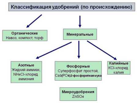 Прямое