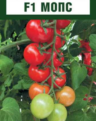 Удобрение для томатов: как применять и получить большие и сочные плоды