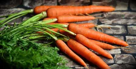 Удобрения для моркови: какие питательные элементы необходимы для успешного роста.