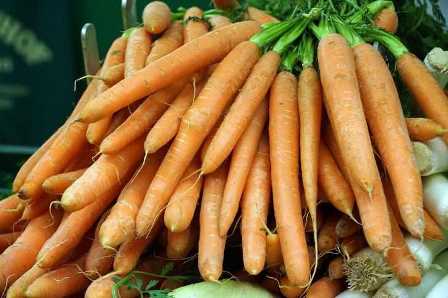 Удобрения для моркови: секреты успешного применения
