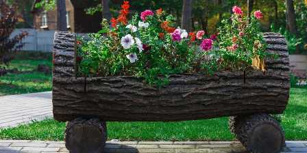 Удобрения для садовых цветов: как создать красивые и здоровые клумбы