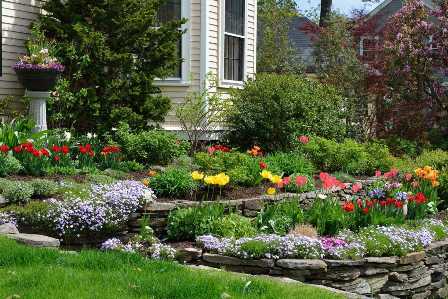 Удобрения для садовых цветов: как создать красочный и непрерывно цветущий сад