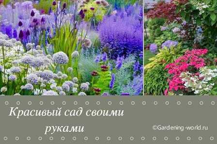 Удобрения для садовых цветов: как создать красочный и привлекательный цветник