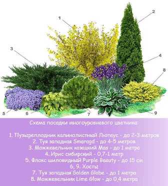 Удобрения для садовых цветов: как создать непрерывное цветение в течение всего сезона