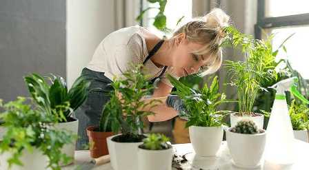 Удобрения для садовых цветов: как выбрать и правильно применять
