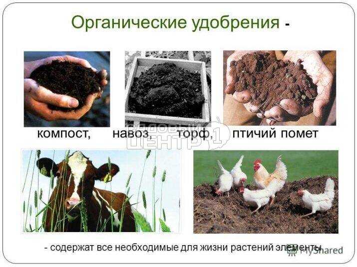 Удобрения