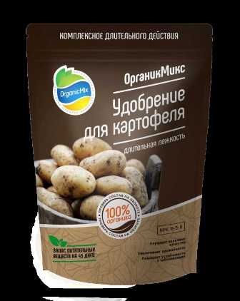 Удобрения, необходимые для успешного выращивания картофеля