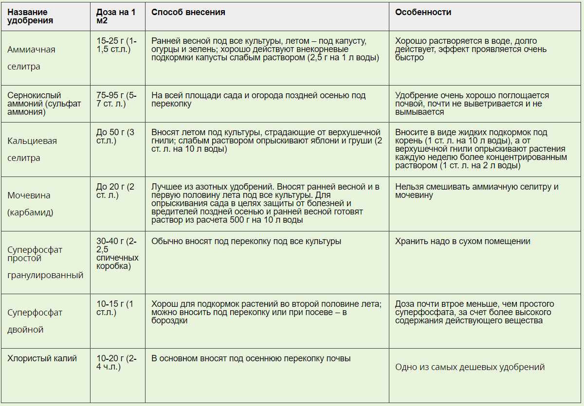 Выбор удобрений для овощных растений: что выбрать